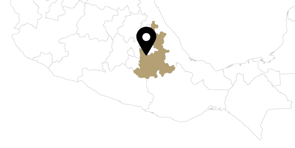 puebla_Arombo